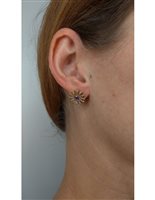 Orecchini Damiani Donna Margherita in Oro rosa Diamante Brown 0.90 Ct 20072767 - 20072767